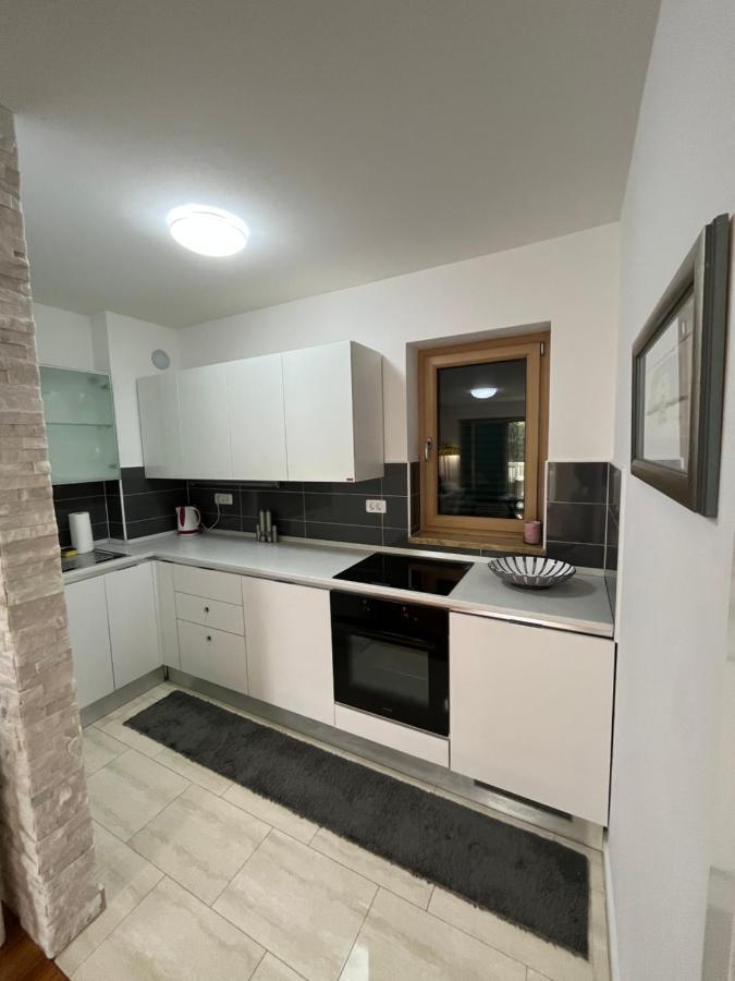 Ambasador Apartment *