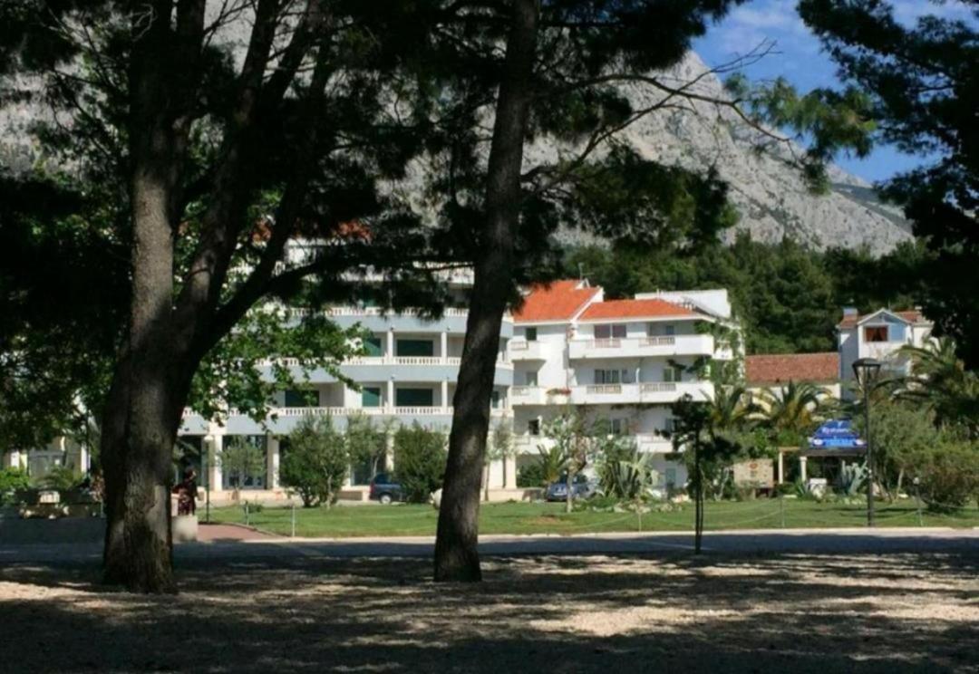 Apartment Ambasador